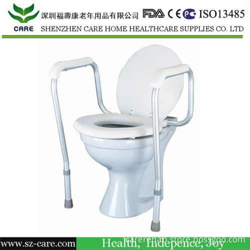 Raised Toilet Seat